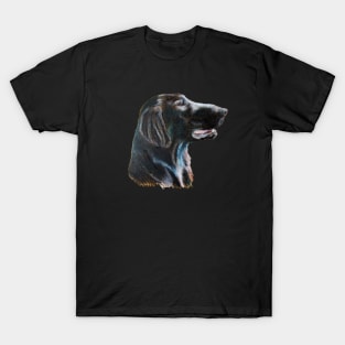 Flatcoated retriever - color T-Shirt